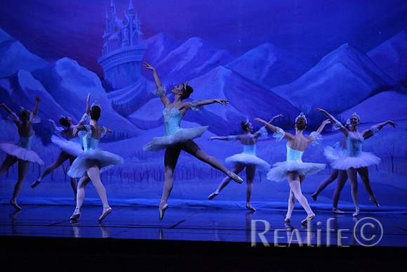 Sno2_4292
