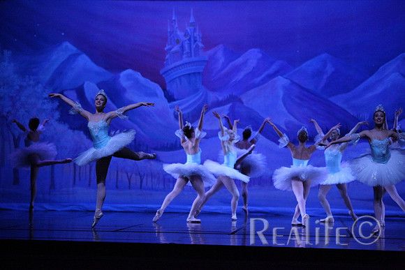 Sno2_4294