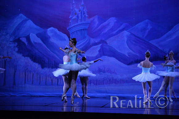 Sno2_4293