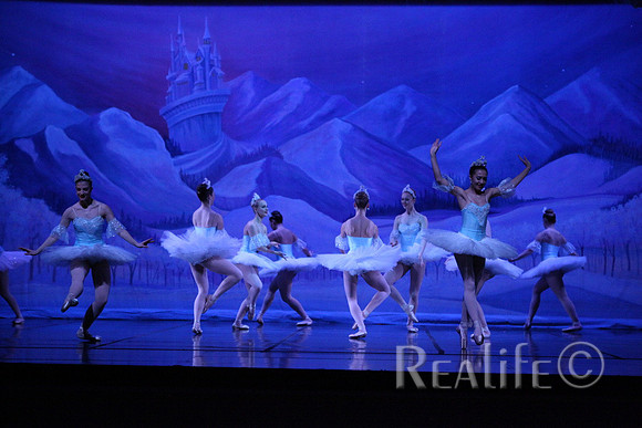 Sno2_4295