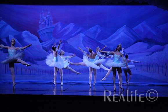 Sno2_4296