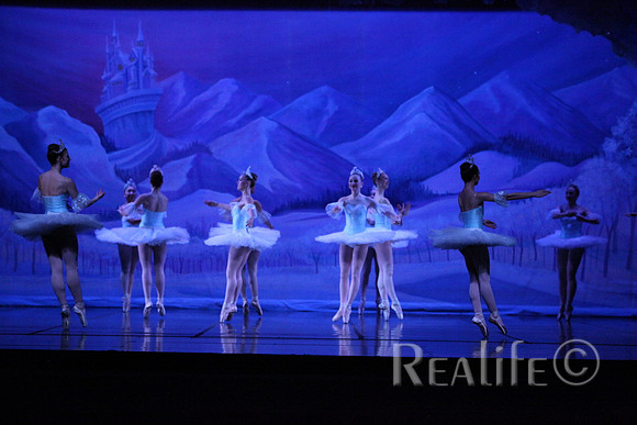 Sno2_4297