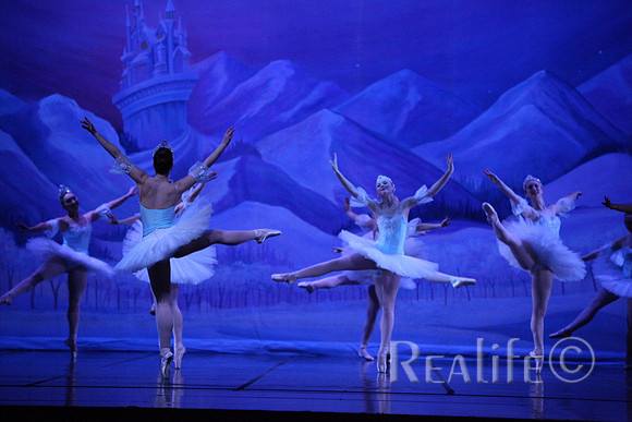 Sno2_4298