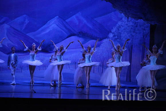 Sno2_4303
