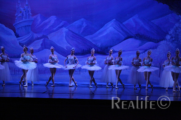Sno2_4307