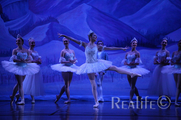 Sno2_4313