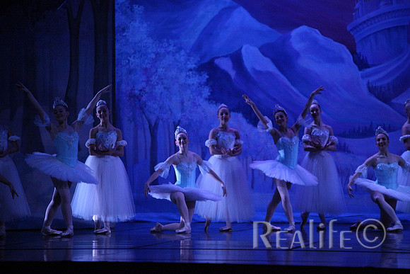 Sno2_4317
