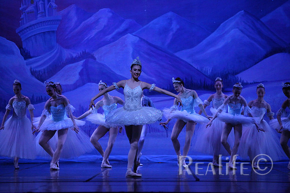 Sno2_4319