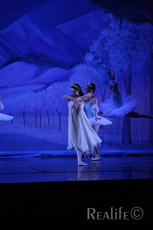 Sno2_4329