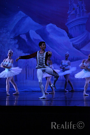 Sno2_4333