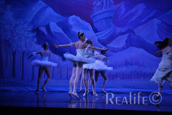 Sno2_4336