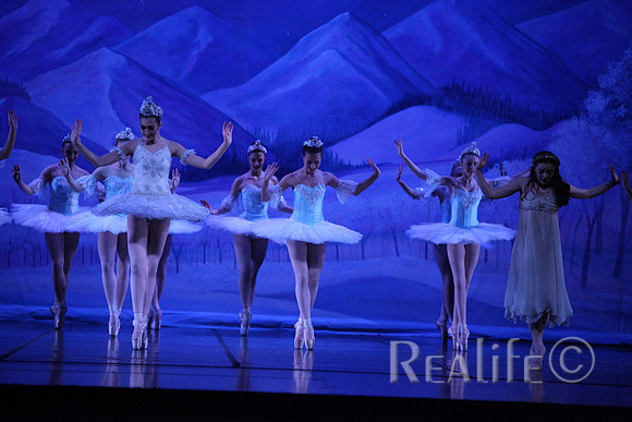 Sno2_4338