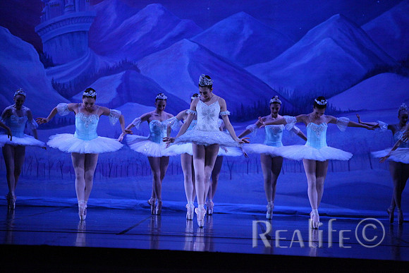 Sno2_4339