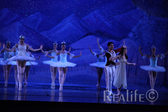 Sno2_4343