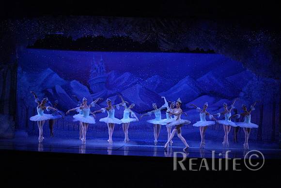 Sno2_4353