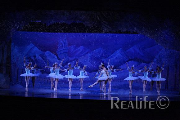 Sno2_4354