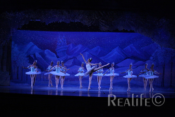 Sno2_4355