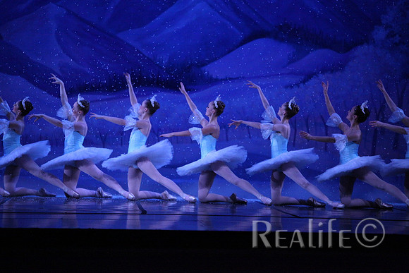 Sno2_4361