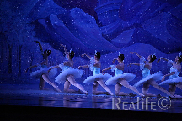 Sno2_4360