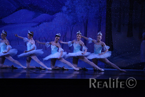 Sno2_4362