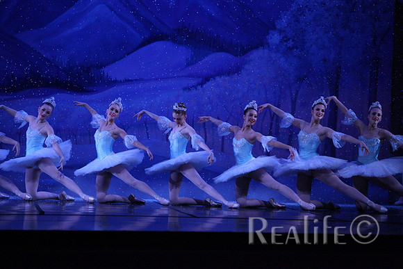 Sno2_4363