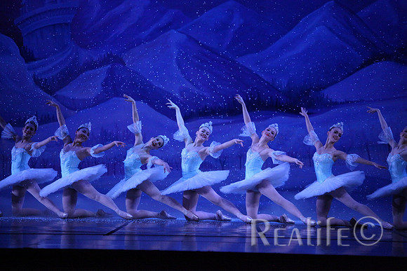 Sno2_4365