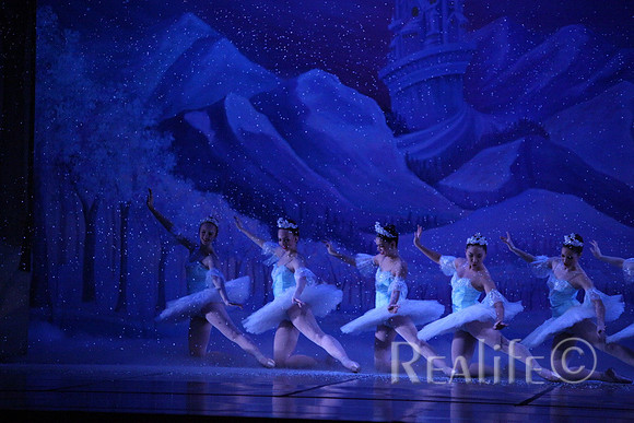 Sno2_4367