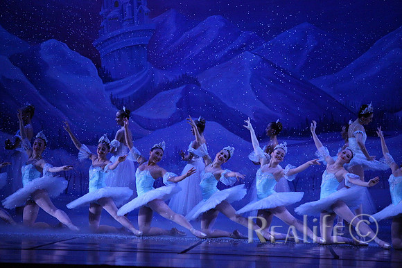 Sno2_4369