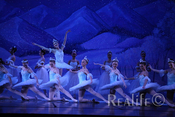 Sno2_4371