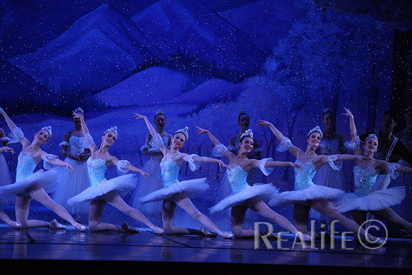 Sno2_4373