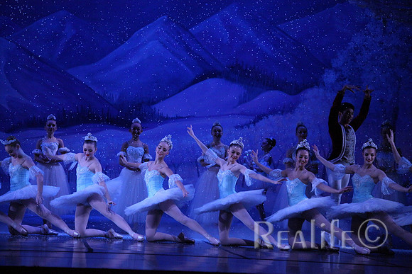 Sno2_4375