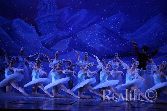 Sno2_4377