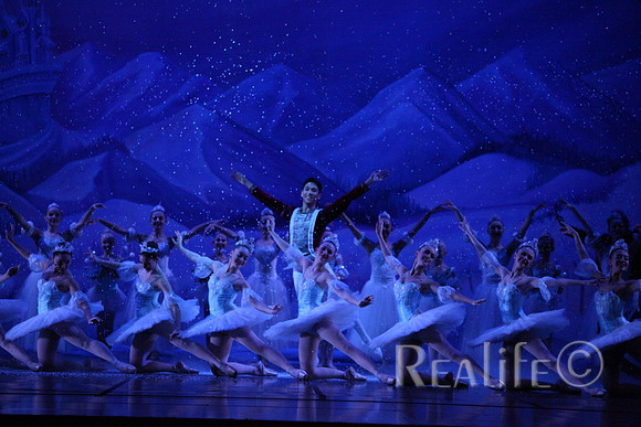 Sno2_4378