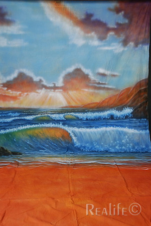 12 Orange Beach 2