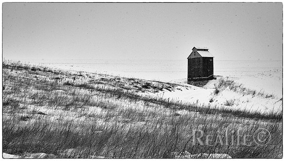 IMM00593_F BW Small