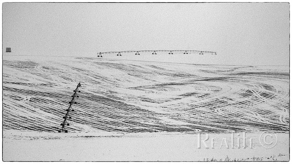 IMM00721_F BW Sml