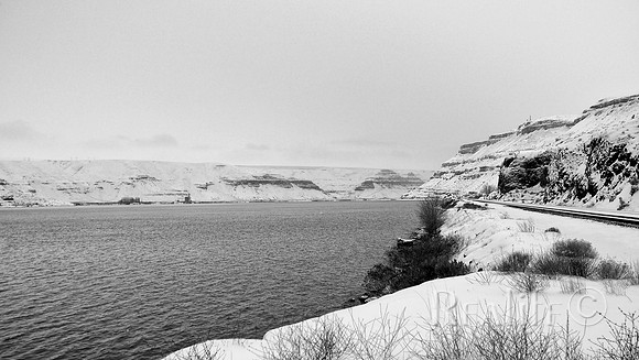IMM00530_F BW Sml