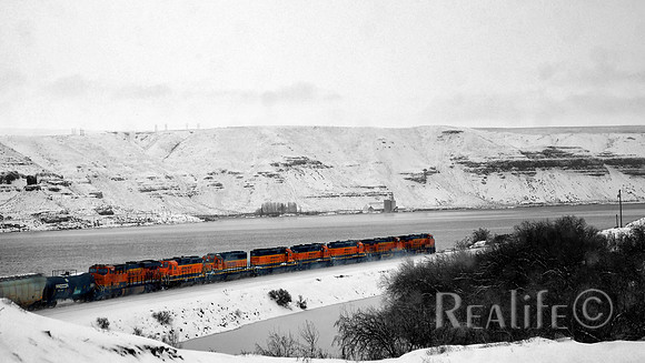 IMM00461_F BW Small