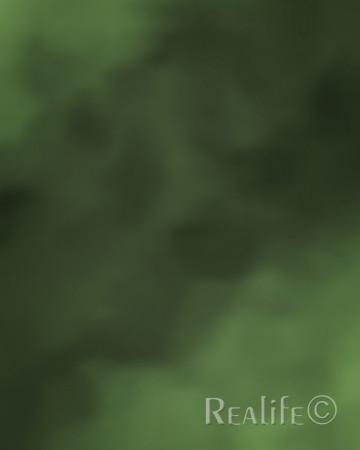 B2