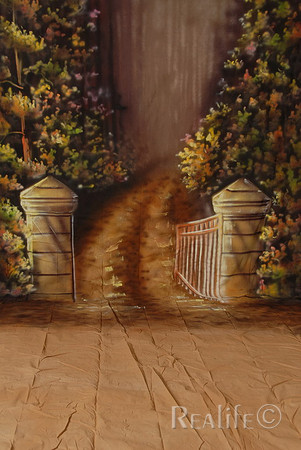 38 Fall Leaves with Path