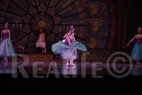 Pal_5194