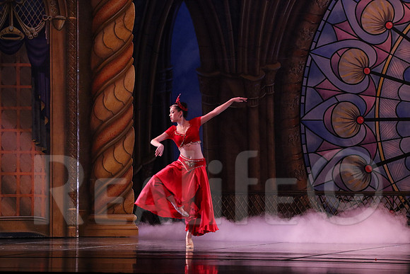 Pal_5652