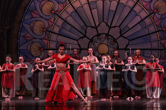 Pal_5686