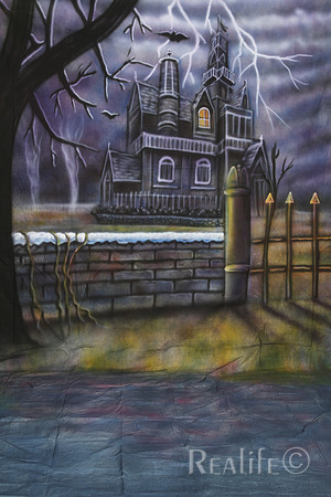 18 Haunted House 3