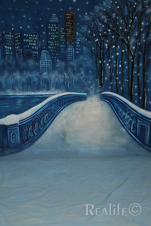 28 Winter Bridge 2