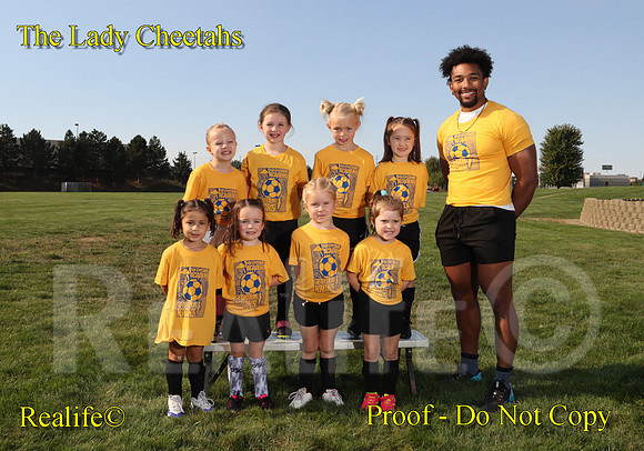 43751(1)