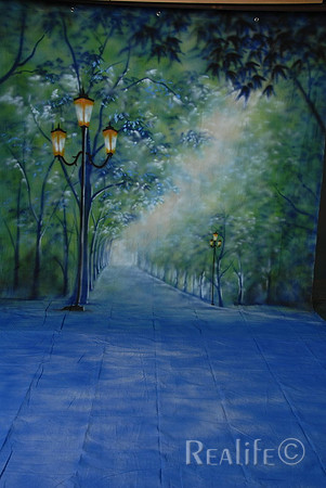 31 Paris Night Park Street