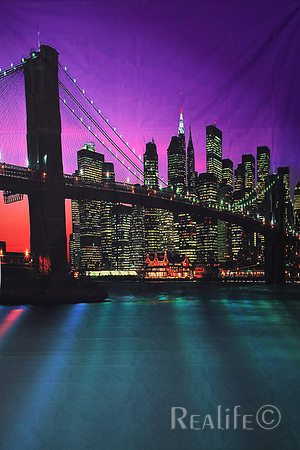 6 Brooklyn Bridge V 2