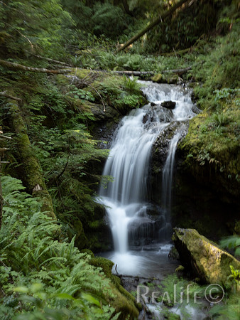 200624 Covel Creek Falls-59