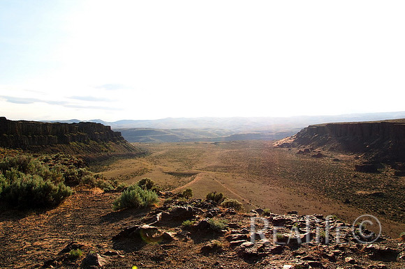 IMG00103_F